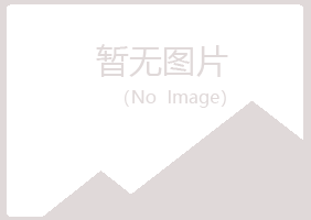 德宏夜山能源有限公司